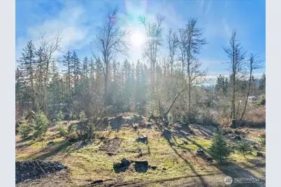 41524 Meridian E, Eatonville, WA 98328 - Photo 13