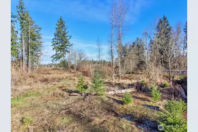 41524 Meridian E, Eatonville, WA 98328 - Photo 11