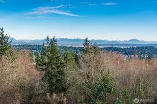 63 W Cross Island Rd, Camano Island, WA 98282 - Photo 21