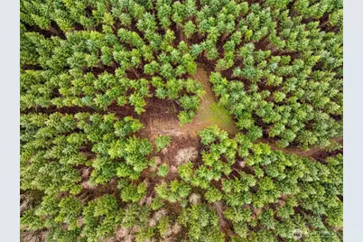 216 Xx Zenkner Valley Road SW, Centralia, WA 98531 - Photo 5