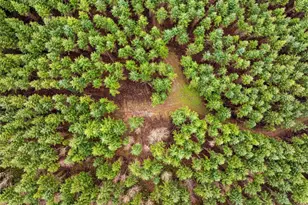 216 Xx Zenkner Valley Road SW, Centralia, WA 98531 - Photo 5