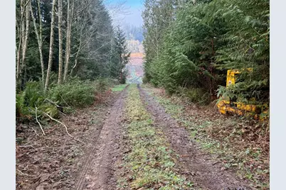 216 Xx Zenkner Valley Road SW, Centralia, WA 98531 - Photo 11