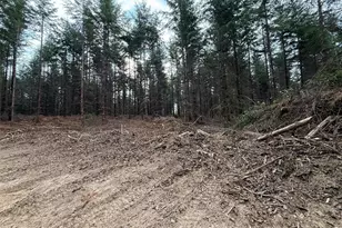 216 Xx Zenkner Valley Road SW, Centralia, WA 98531 - Photo 9