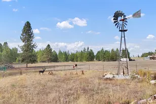 38911 N Newport Hwy, Elk, WA 99009 - Photo 31