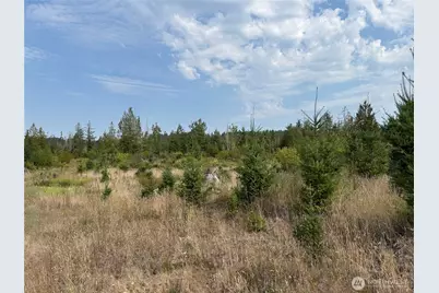 14 Xx Spencer Road, Onalaska, WA 98570 - Photo 5