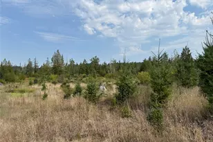 14 Xx Spencer Rd, Onalaska, WA 98570 - Photo 5