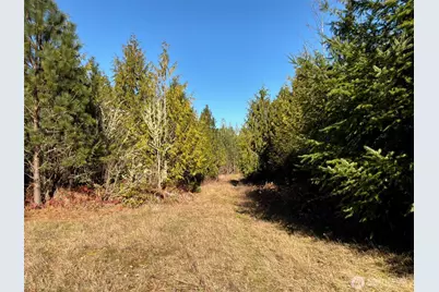 14 Xx Spencer Road, Onalaska, WA 98570 - Photo 7