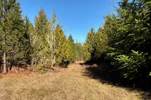 14 Xx Spencer Rd, Onalaska, WA 98570 - Photo 7