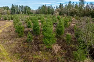 14 Xx Spencer Rd, Onalaska, WA 98570 - Photo 11