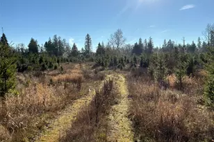 14 Xx Spencer Rd, Onalaska, WA 98570 - Photo 19