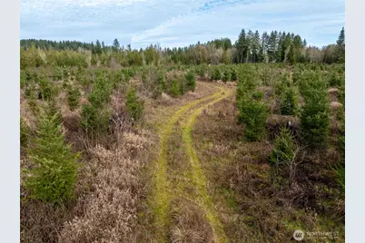 14 Xx Spencer Road, Onalaska, WA 98570 - Photo 13