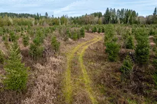 14 Xx Spencer Rd, Onalaska, WA 98570 - Photo 13