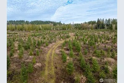 14 Xx Spencer Road, Onalaska, WA 98570 - Photo 1