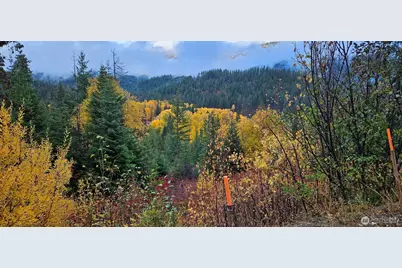 11411 Shugart Flats Road, Leavenworth, WA 98826 - Photo 5