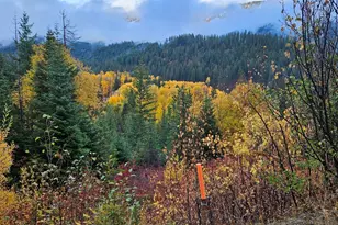 11411 Shugart Flats Rd, Leavenworth, WA 98826 - Photo 5