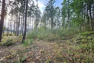 1906 NE Paulson Rd, Poulsbo, WA 98370 - Photo 1