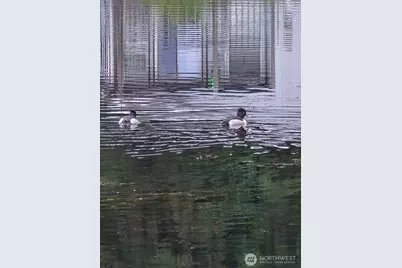 930 Trosper Road SW #78, Tumwater, WA 98512 - Photo 35