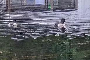 930 Trosper Road SW, Tumwater, WA 98512 - Photo 35