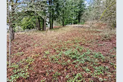 7 7th Avenue SW, Tumwater, WA 98512 - Photo 17