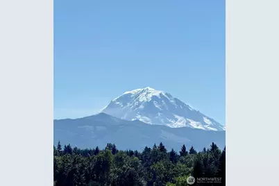 12107 Mundy Loss Road E, Buckley, WA 98321 - Photo 37