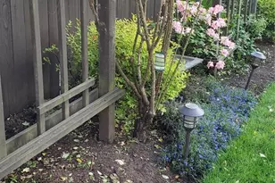 2633 SW 351st Pl, Federal Way, WA 98023 - Photo 19