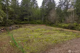 41 E Coon Dr N, Belfair, WA 98528 - Photo 35