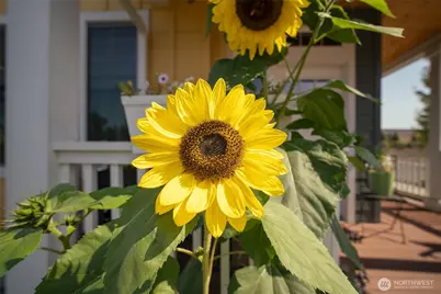 4201 Ambrosia Lane #B9, Bellingham, WA 98226 - Photo 37