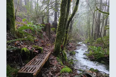 554 Briarwood Lane, Brinnon, WA 98320 - Photo 39