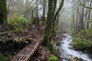 554 Briarwood Ln, Brinnon, WA 98320 - Photo 39