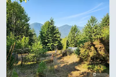 554 Briarwood Lane, Brinnon, WA 98320 - Photo 29