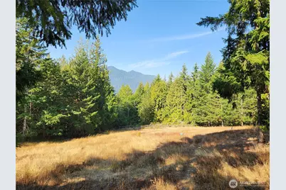 554 Briarwood Lane, Brinnon, WA 98320 - Photo 35