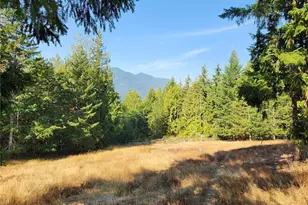 554 Briarwood Ln, Brinnon, WA 98320 - Photo 35