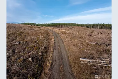 50 X Winston Creek Road, Mossyrock, WA 98564 - Photo 9