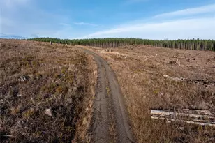 50 X Winston Creek Rd, Mossyrock, WA 98564 - Photo 9