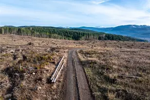 50 X Winston Creek Rd, Mossyrock, WA 98564 - Photo 17