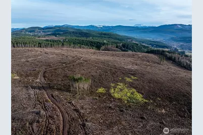 50 X Winston Creek Road, Mossyrock, WA 98564 - Photo 15