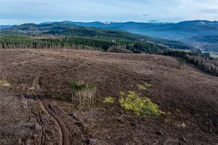 50 X Winston Creek Rd, Mossyrock, WA 98564 - Photo 15