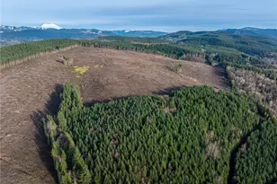 50 X Winston Creek Rd, Mossyrock, WA 98564 - Photo 7