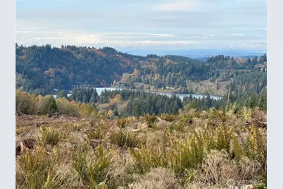 50 X Winston Creek Road, Mossyrock, WA 98564 - Photo 13