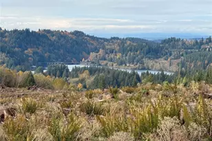 50 X Winston Creek Rd, Mossyrock, WA 98564 - Photo 13