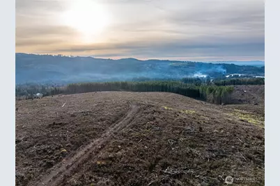 50 X Winston Creek Road, Mossyrock, WA 98564 - Photo 3