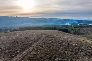 50 X Winston Creek Rd, Mossyrock, WA 98564 - Photo 3