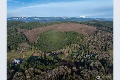 50 X Winston Creek Road, Mossyrock, WA 98564 - Photo 5