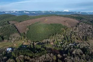 50 X Winston Creek Rd, Mossyrock, WA 98564 - Photo 5