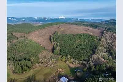 50 X Winston Creek Road, Mossyrock, WA 98564 - Photo 1