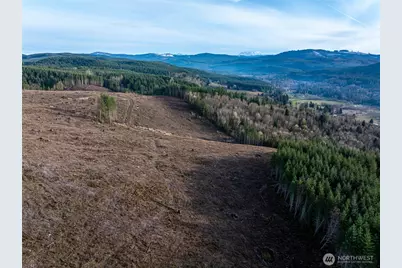 50 X Winston Creek Road, Mossyrock, WA 98564 - Photo 19