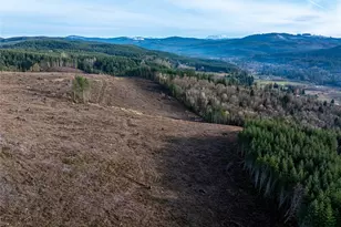 50 X Winston Creek Rd, Mossyrock, WA 98564 - Photo 19