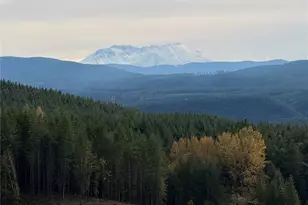 50 X Winston Creek Rd, Mossyrock, WA 98564 - Photo 11