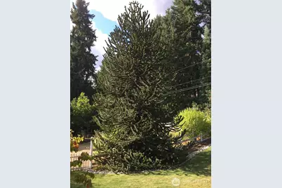 16223 NE 153rd Street, Woodinville, WA 98072 - Photo 37