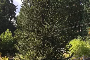 16223 NE 153rd St, Woodinville, WA 98072 - Photo 37